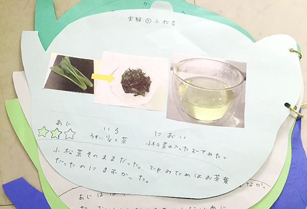 わが家の自由研究「お茶の実験」