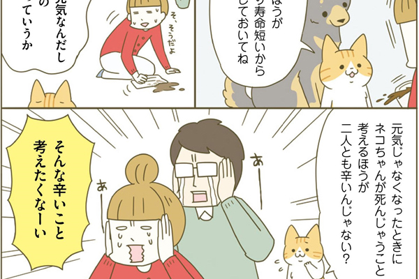 ネコちゃんに教わる、シニアペットと暮らす心得＜病気、介護、保険編＞｜ウーマンエキサイト