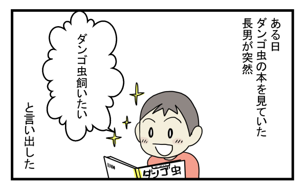 飼育が他の虫よりも簡単 子どもたちが捕獲してきた ダンゴ虫 を飼ってみた こどもと見つけた小さな発見日誌 Vol 6 子供 とお出かけ情報 いこーよ