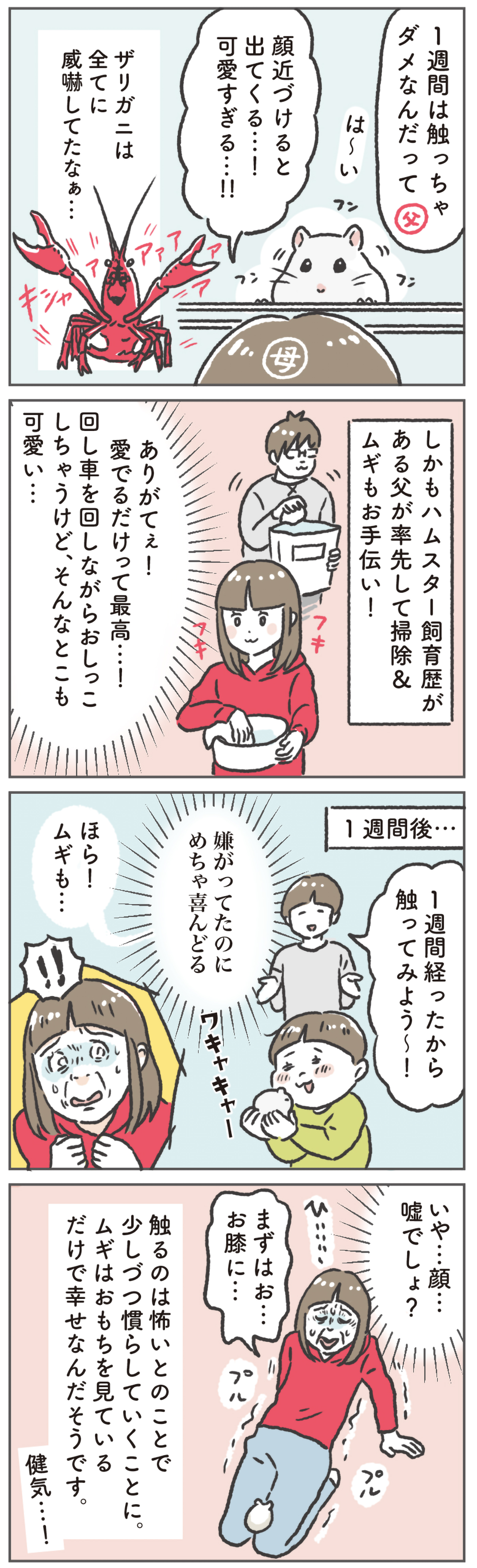 だがしかし！まさかまさかの事実が判明!!