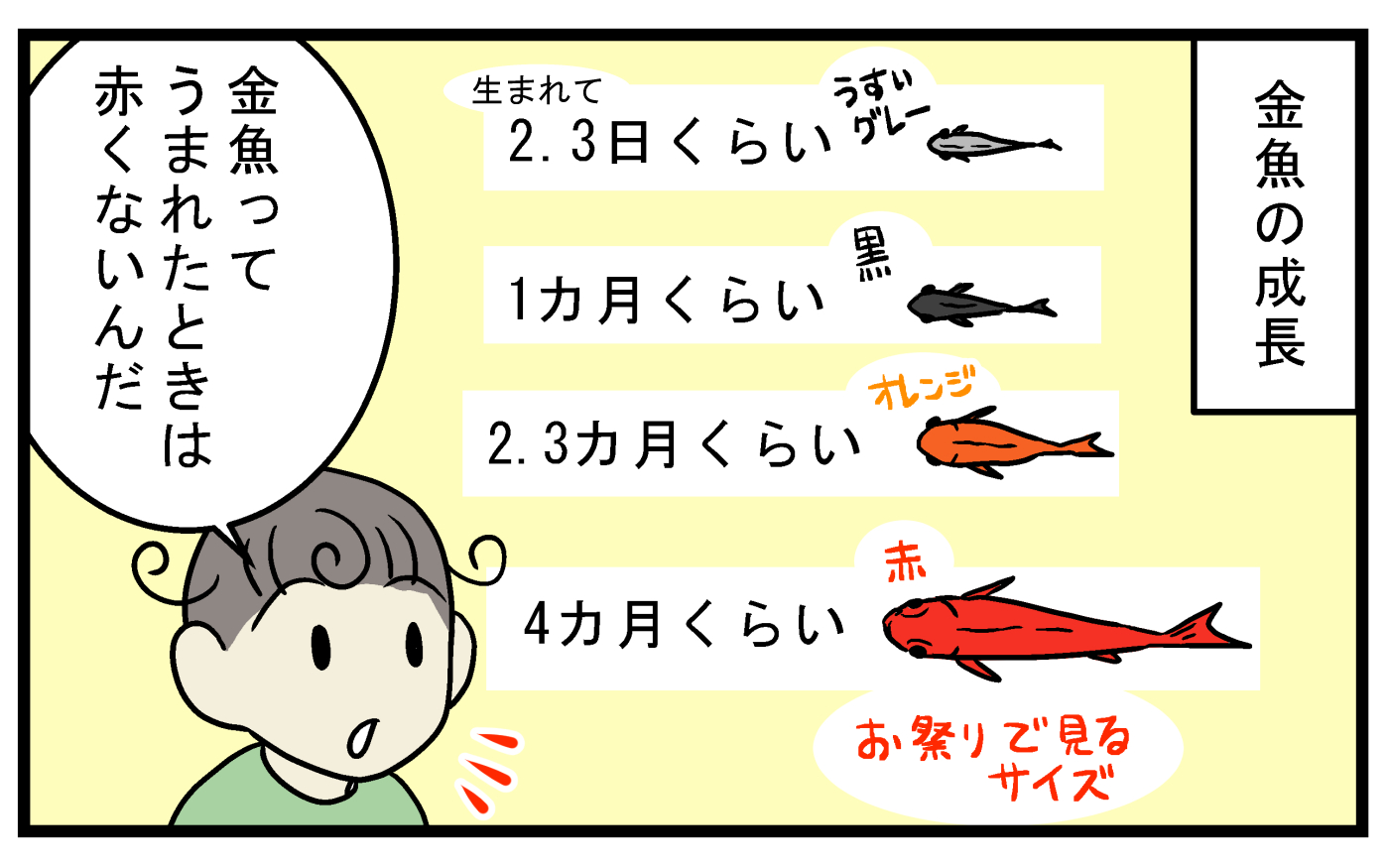 生き残った金魚の稚魚だった