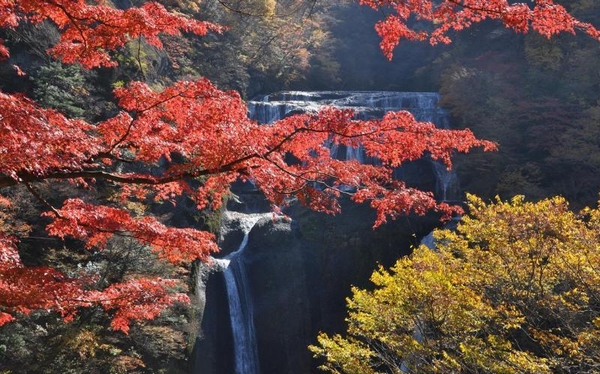 半額の宿泊券・周遊券が9月から発売！　茨城で秋の行楽シーズンを楽しもう