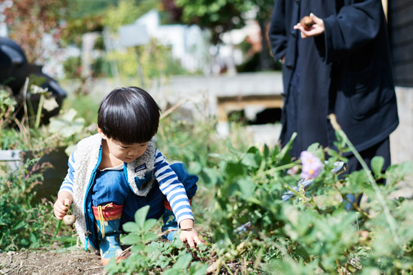 ブルーベリーやじゃがいもも収穫できる庭は、子どもにとって十分楽しめる場所