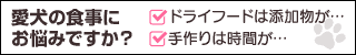ペットや赤ちゃんの撮影って難しい！ 可愛く撮るコツをプロが伝授