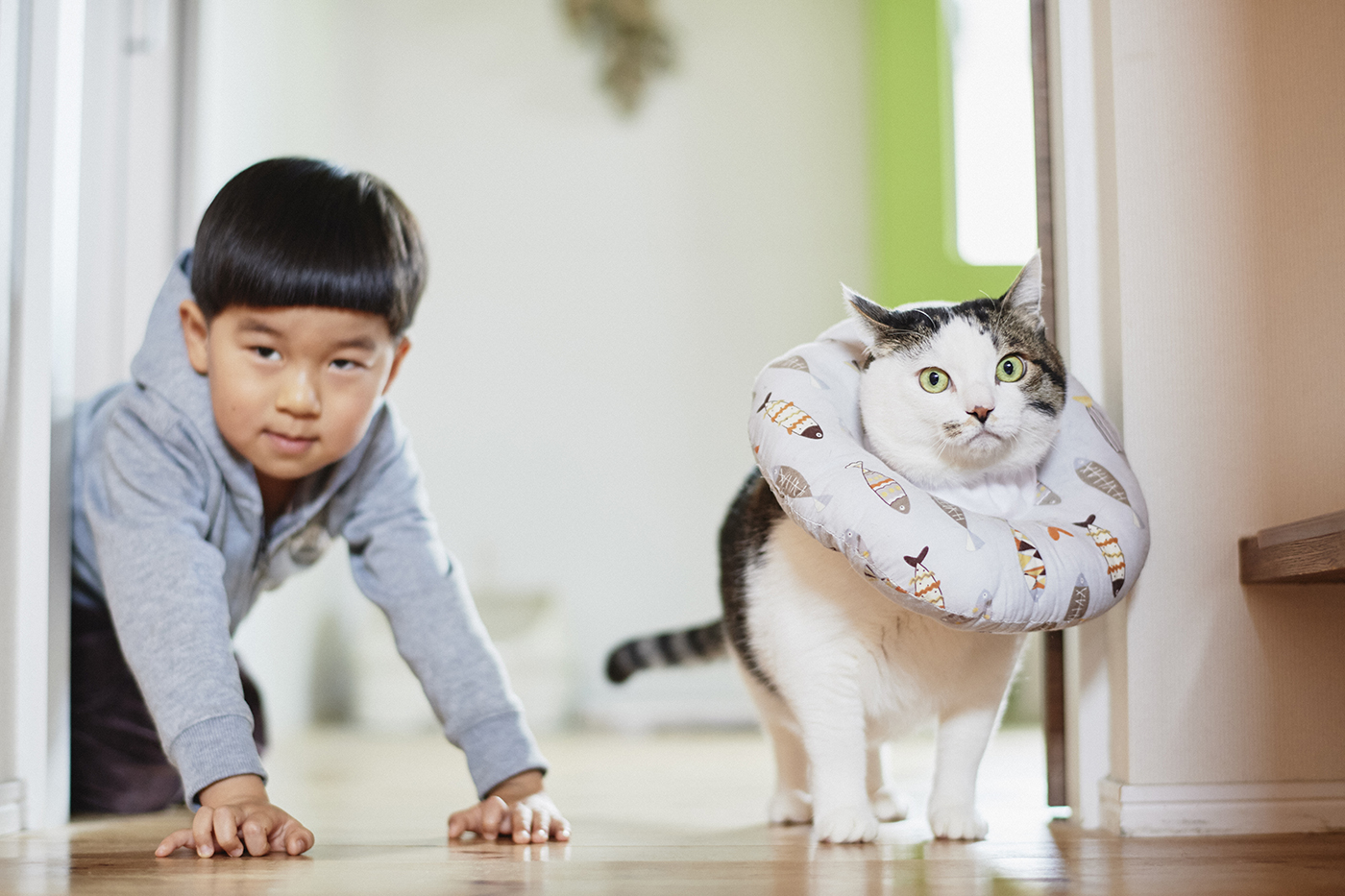 猫との写真を撮り続けることで、息子の成長を見守る　#27 鈴木賢一さん｜ウーマンエキサイト