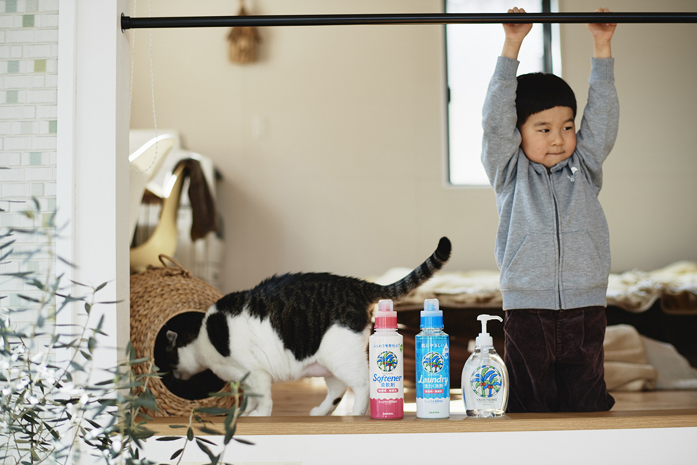 猫との写真を撮り続けることで、息子の成長を見守る　#27 鈴木賢一さん