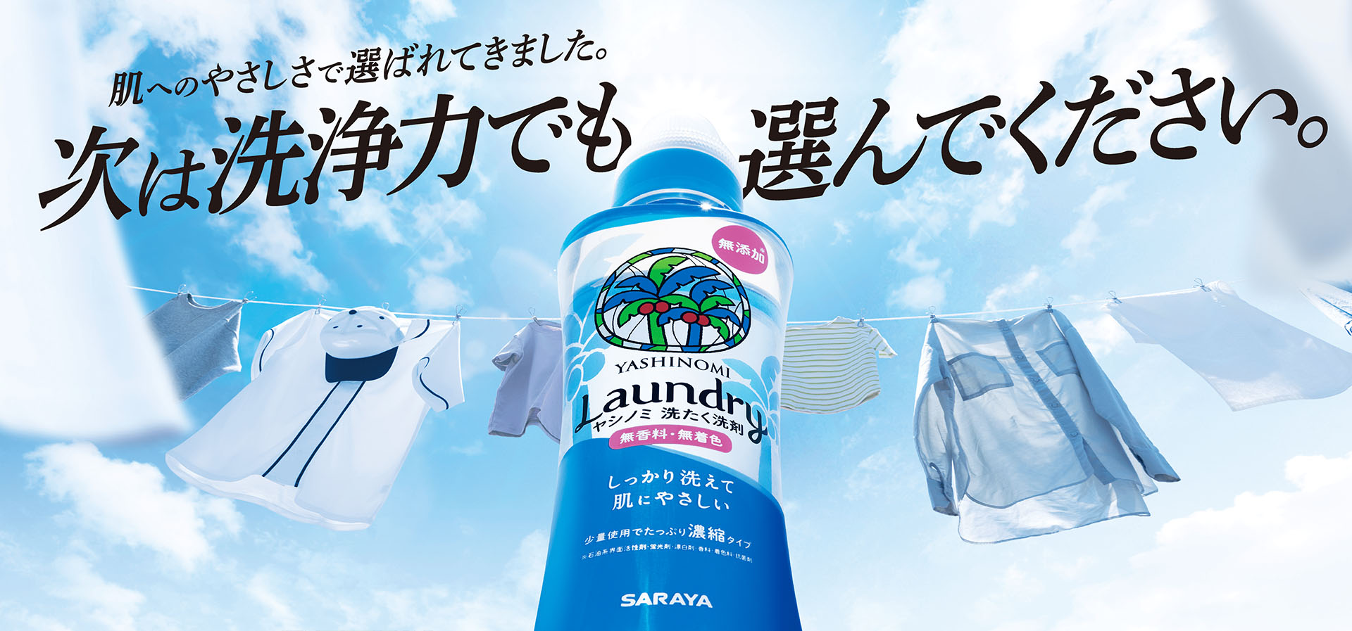 【モヤモヤ疑問を解決！ 今日から知っ得 Vol.2】植物性の洗剤って、本当に環境にいいの？