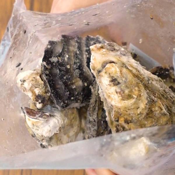 岩手県産冷凍殻付き牡蠣