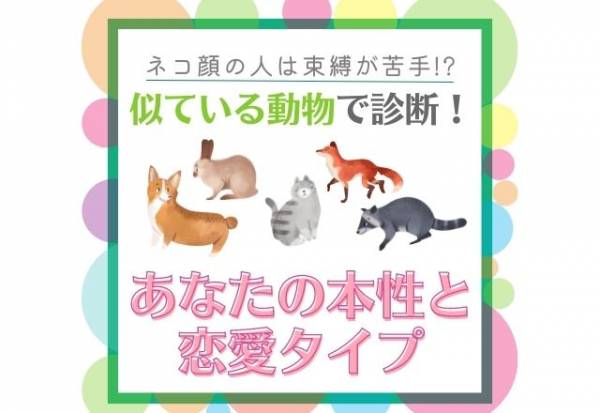 ネコ顔の人は束縛が苦手 似ている動物 で診断 あなたの 本性と恋愛タイプ 21年12月10日 ウーマンエキサイト 1 2