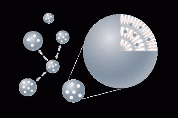 サーキュラービューティ※1“Aetas(エタス)”5月27日(土)日本と中国で同時発売！全商品自然由来指数90％以上のクリーンビューティスキンケアブランド誕生