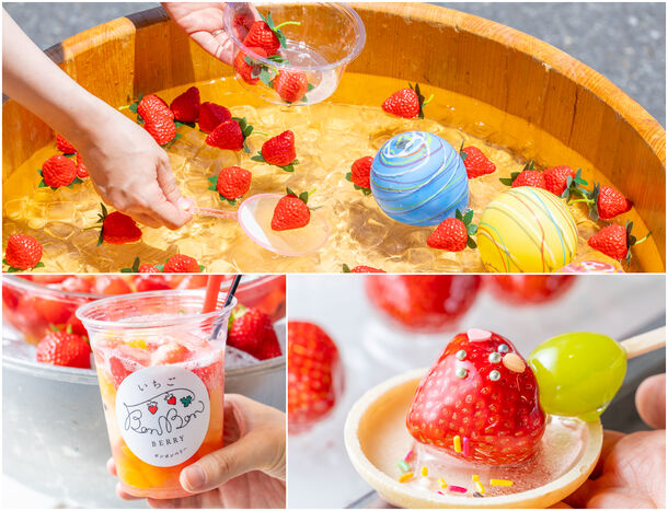 いちご専門店 いちごBonBonBERRY】伊豆の夏はいちごでとことん楽しむ