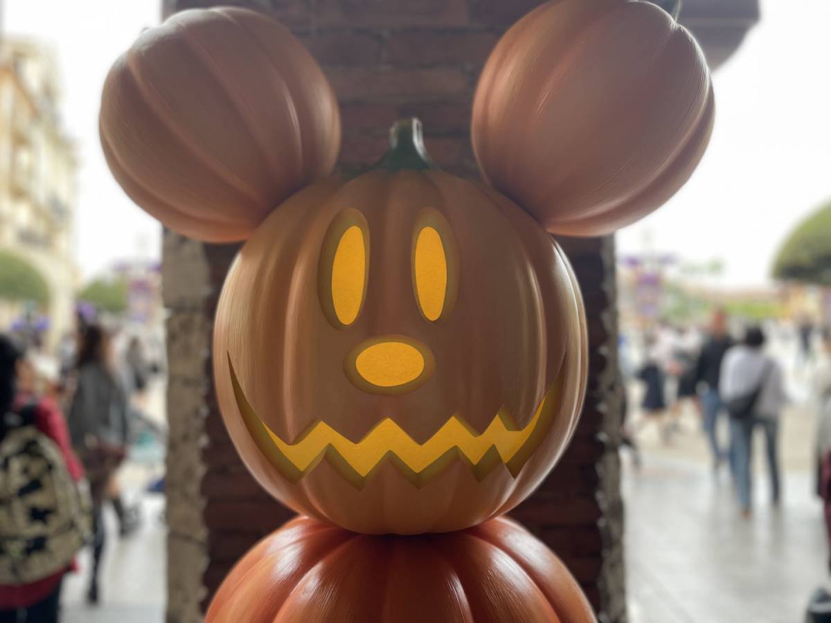 大人数×子連れで行くディズニーシー】 特別な日はみんなで楽しみ尽くす