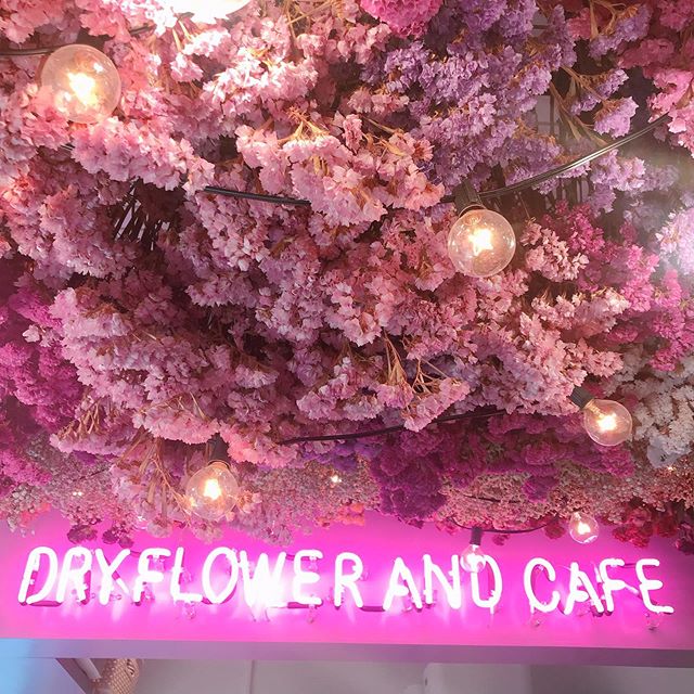 【関西】秋はお花カフェ巡りしよう♡　人気の華やかお花カフェ6店をチェック！の17枚目のインスタグラム画像