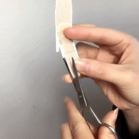 絆創膏でくっきり二重を作る方法 たったの2ステップで超簡単 ローリエプレス
