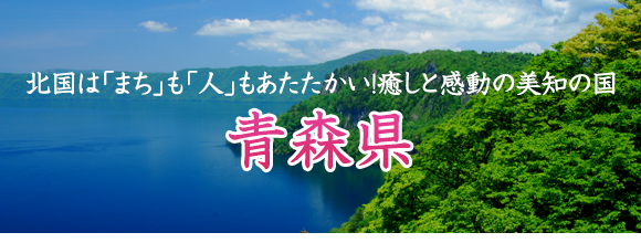 青森県のふるさと婚活 エキサイト婚活